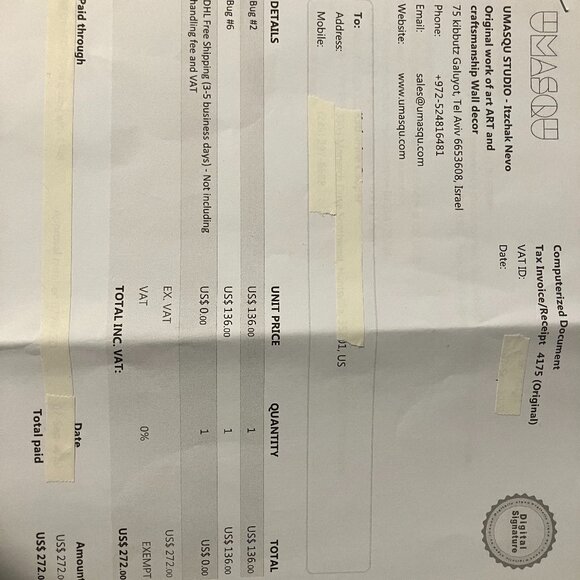 wall bug - Picture 6 of 6